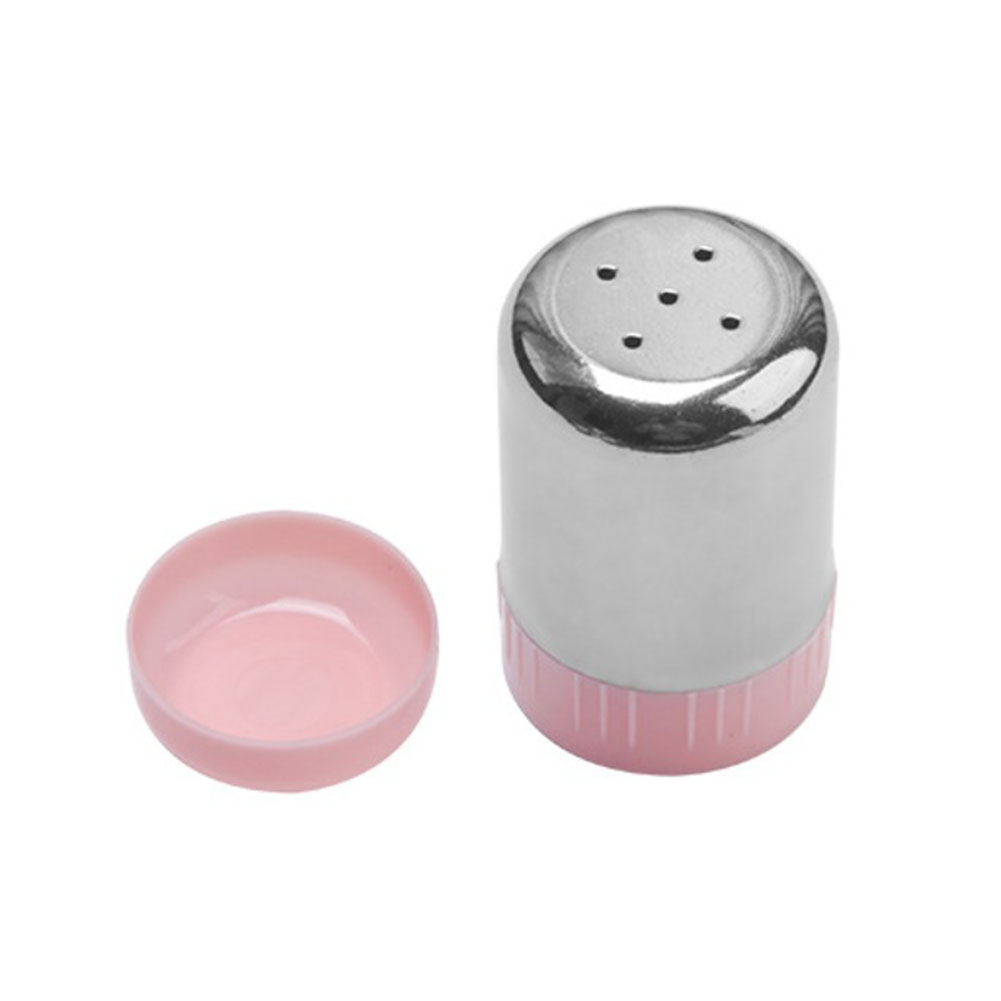 Small Stainless Steel Seasonin - Outdoor Camping Bbq review and price