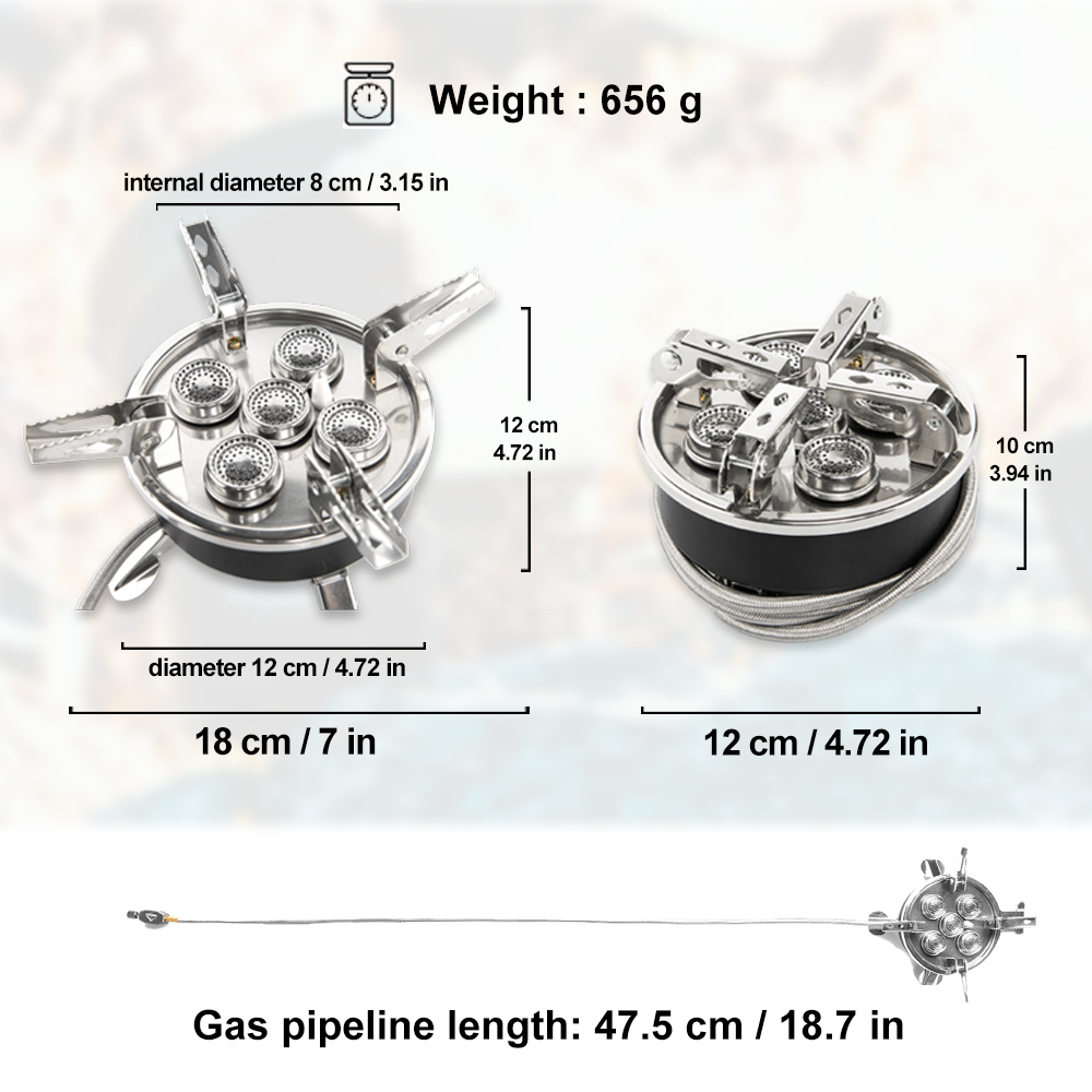 Widesea Camping 5in1 Gas Stove - Outdoor Gas Camping Oven review and price